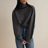 Contrast Trim Turtleneck Knit Sweater